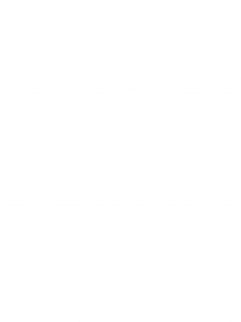 Berliner Jüngstenmeisterschaft Opti – A